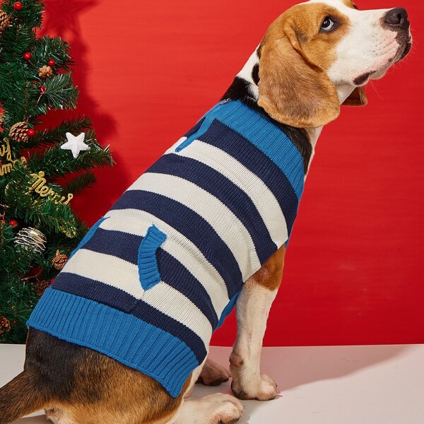 

Striped Pattern Pet Sweater, Multicolor