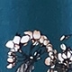 Nhiều màu
