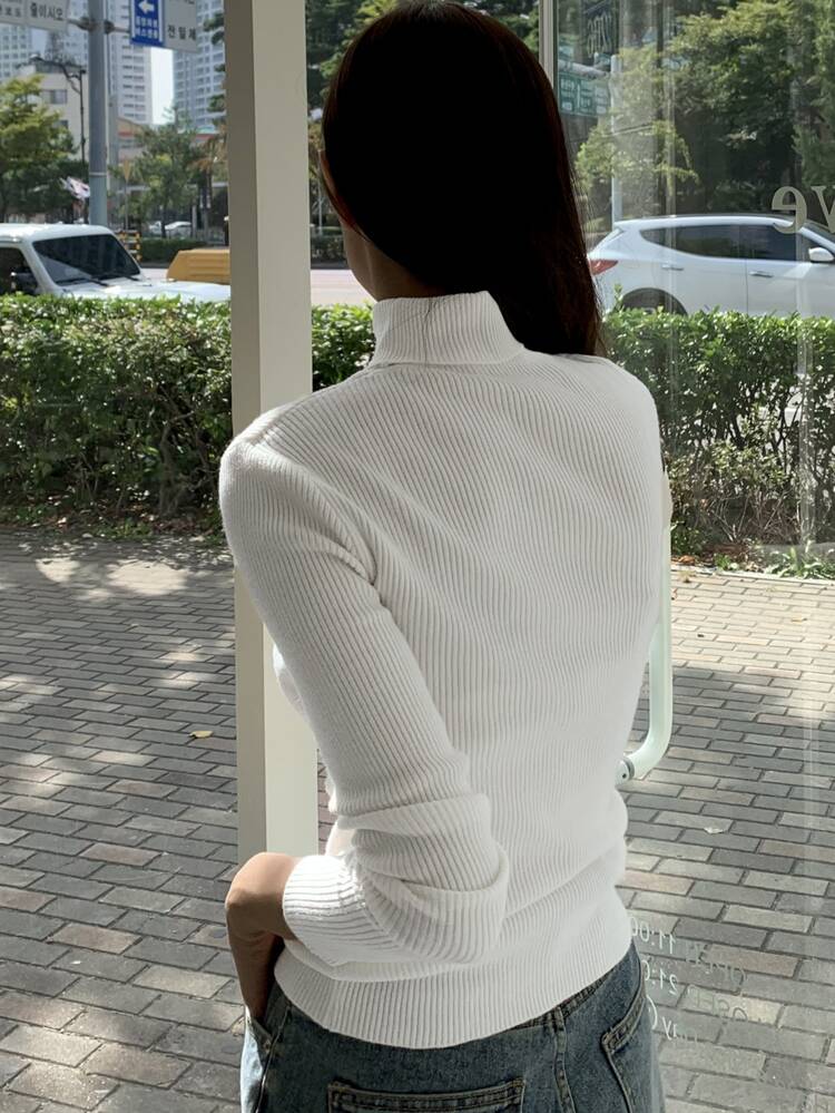 Solid Color Turtleneck Sweater, Casual Business Style For Autumn & Winter,Long Sleeve Tops,Fall Women Clothes