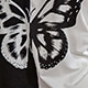 Blanco y Negro