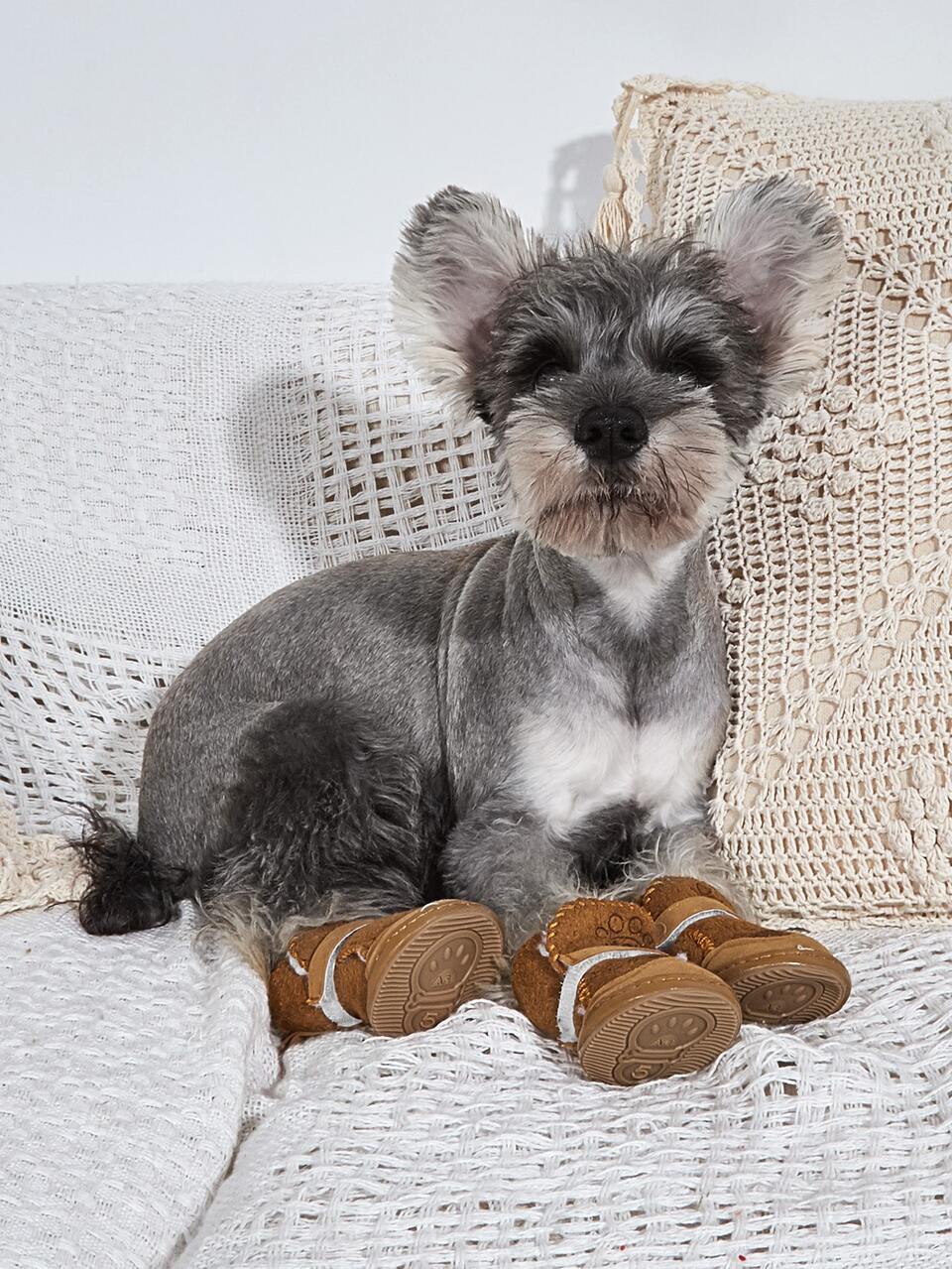 4pcs Paw Print Pet Shoes
