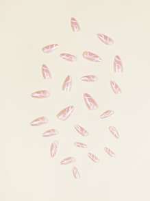 24 件长款细高跟假指甲、1 件指甲锉和 1 片胶带，用于指甲上，美甲用品，指甲 - 粉色 - 查看 3