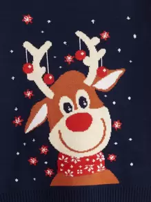 Toddler Boys Christmas Elk Pattern Jumper