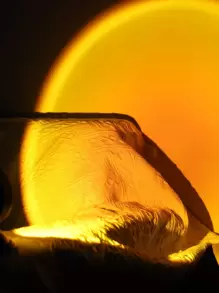 Foco LED Cálido BASIC LIVING - Amarillo - Ver 5