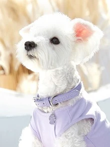 1pc Petsin Paw Shaped Pet ID Tag - Purple - View 3