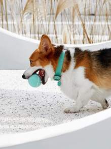 1pc Petsin Paw Shaped Pet ID Tag - Mint Green - View 3