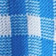 Blue and White