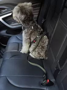 宠物车用安全带 狗狗伸缩安全带