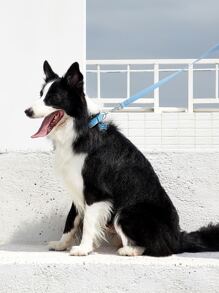 PETSIN 1入組極簡風格寵物牽引繩 - 藍色 - 查看 2