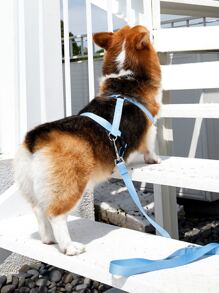 PETSIN 1入組極簡風格寵物牽引繩 - 藍色 - 查看 4