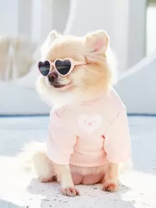 PETSIN 1對心鏡片形狀寵物眼鏡