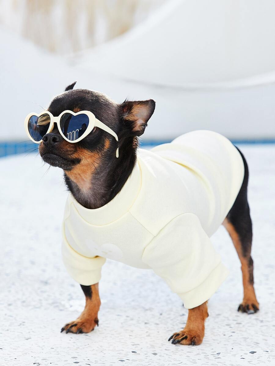 PETSIN 1對心鏡片形狀寵物眼鏡 - 彩色 - 查看 1