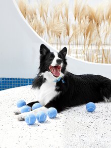 PETSIN 2pcs Pet Chasing Ball Toy - Blue - View 3