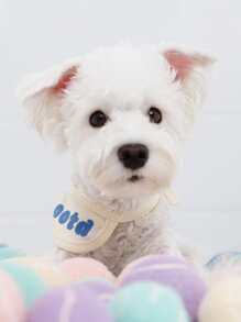 PETSIN 5pcs Pet Chasing Ball Toy - Multicolor - View 4