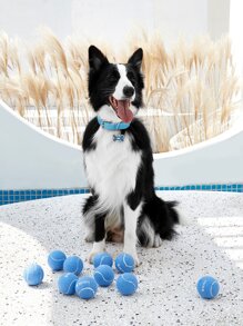 PETSIN 1pc Tennis Pet Chasing Toy - Blue - View 4