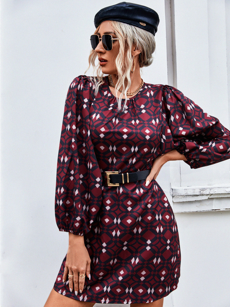 Aveloria Allover Geo Print Lantern Sleeve Dress Without Belt Fall Cloth For Women - Multicolor - View 5