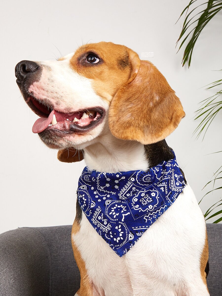 圖案印花寵物方巾 - 藍白色 - 查看 1
