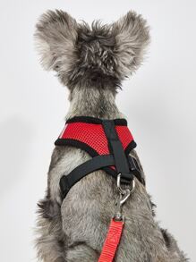 1pc Contrast Binding Pet Harness & 1pc Pet Leash