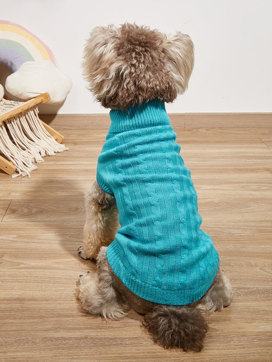 Áo len màu cho thú cưng - Màu xanh lam - Xem 1