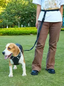 1set Solid Color Pet Leash - Black - View 1