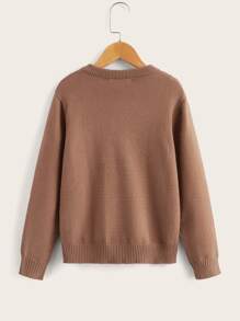 SHEIN Boys Cable Knit Crew Neck Jumper - Brown - View 2