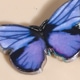 Morado