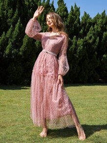 Modelyn Floral Embroidered Lantern Sleeve Ruffle Hem Dobby Mesh Dress With Belt - Dusty Pink - View 3