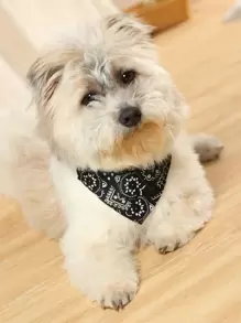 1pc Bandana Design Pet Collar For Decoration - Black - View 2