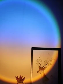 BASIC LIVING 1pc Sunset Projection Lamp - Multicolor - View 7