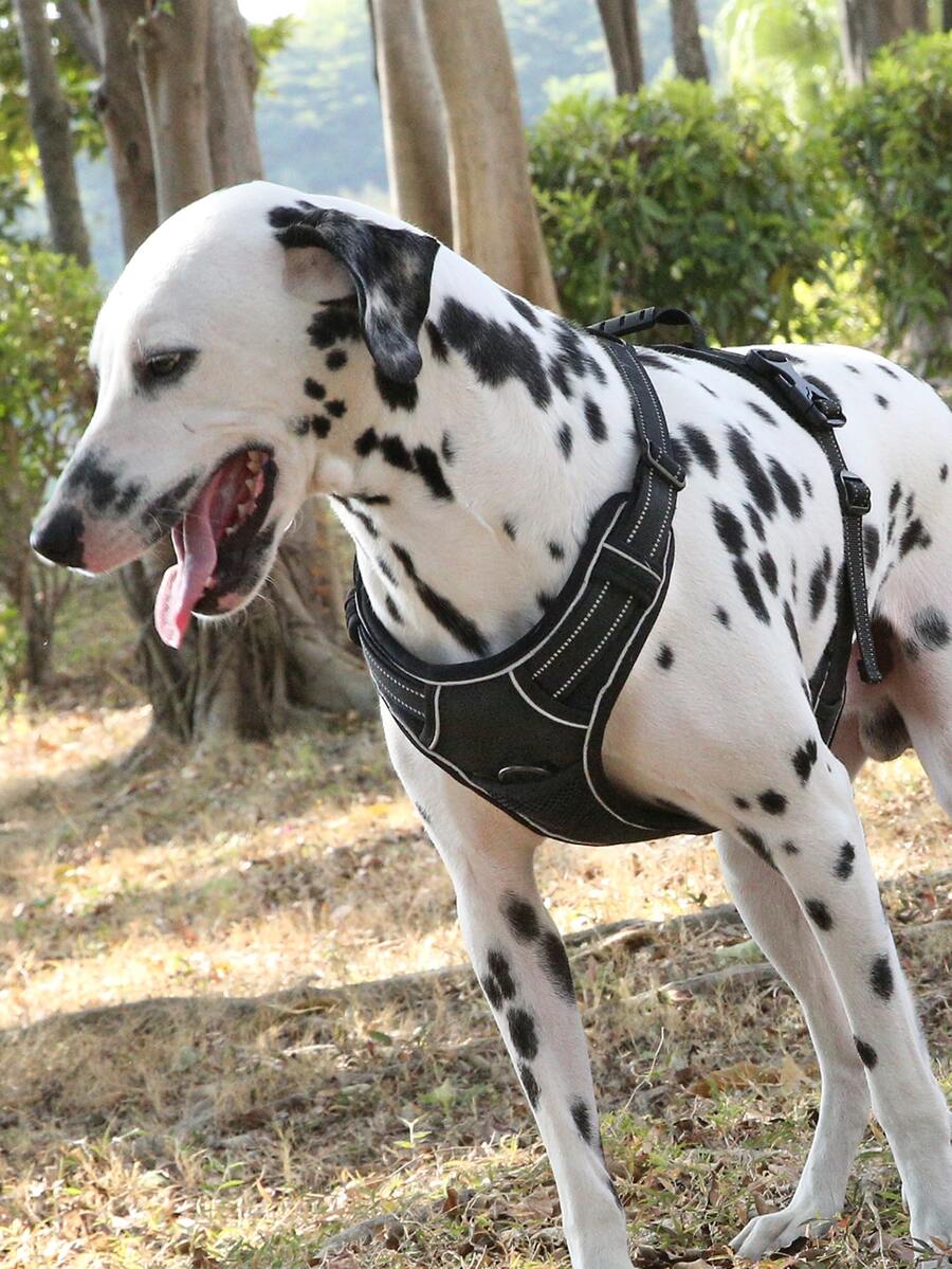 Arnés para mascotas transpirable - Negro - Ver 1