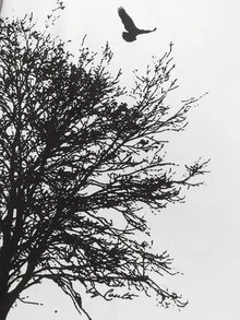 Manfinity Bộ hai mảnh Nam Dây kéo Thực vật Giải trí - Đen và trắng - Xem 5