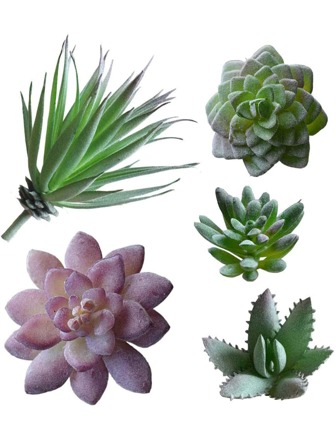5入組植物擬真多肉植物