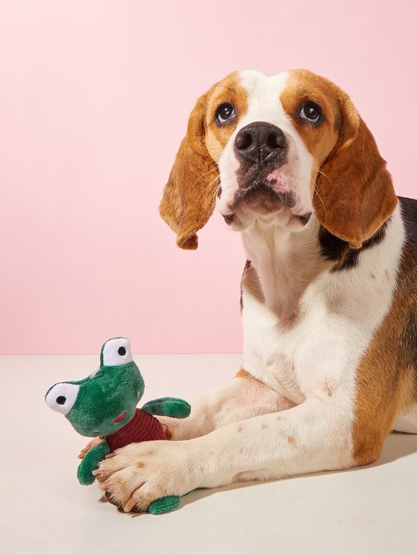 カエル形 ペットプラッシュおもちゃ