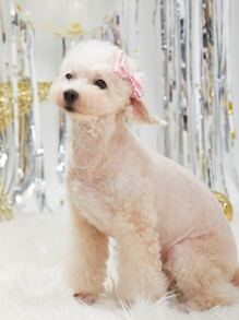 2pcs Bow Decor Random Color Pet Hair Clip - Multicolor - View 7