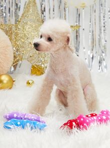 Đồ chơi âm thanh thú cưng 1pc có hình dạng màu sắc ngẫu nhiên - Nhiều màu - Xem 8