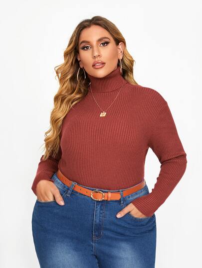 Plus Turtleneck Ribbed Knit Sweater