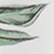 Nhiều màu