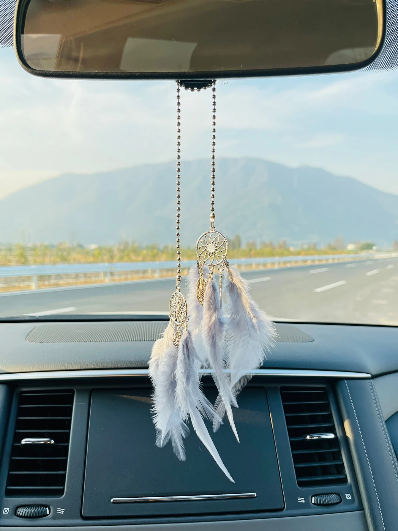 羽飾り 車用 飾り用小物 Shein Japan