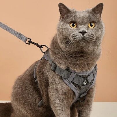 1套宠物户外胸背带，带反向牵引绳，透气
