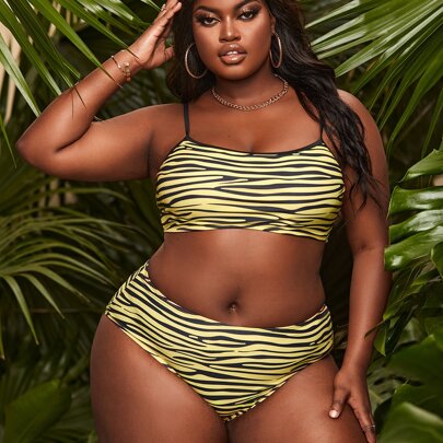 Plus Zebra Stripe Bikini Swimsuit