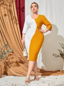 Modelyn Plus Buttoned Split Back Colorblock Dress - Multicolor - View 1