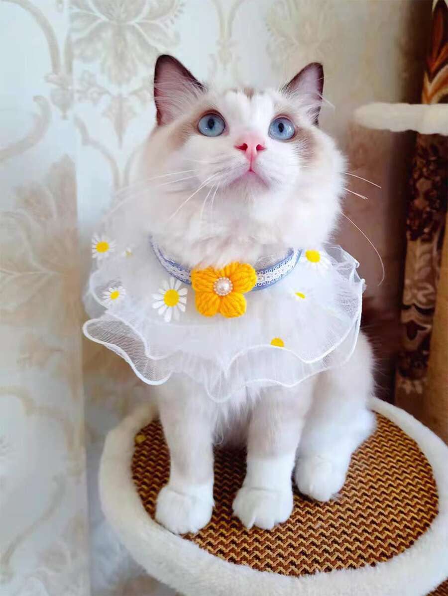 1pc Lace Pet Bib - Multicolor - View 1