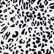 Black and White