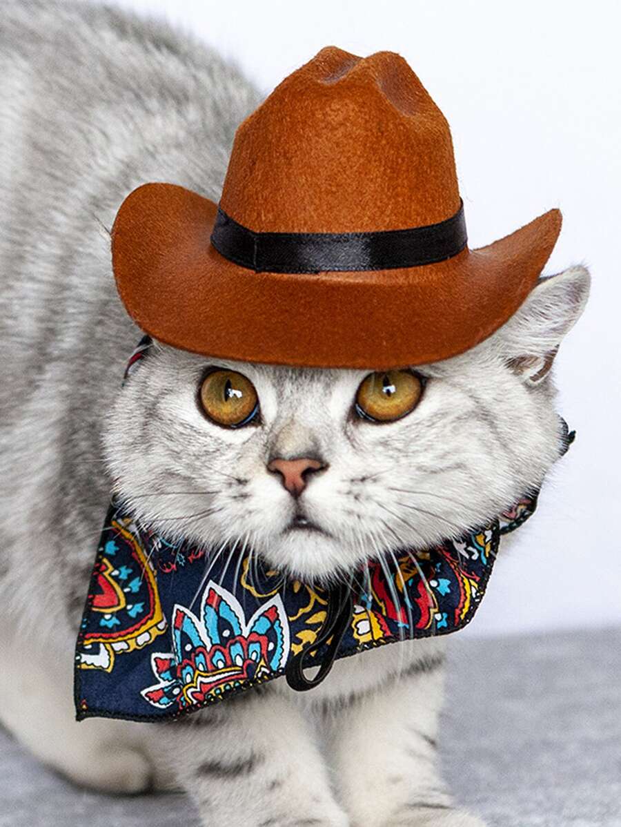 Plain Pet Hat - Brown - View 1