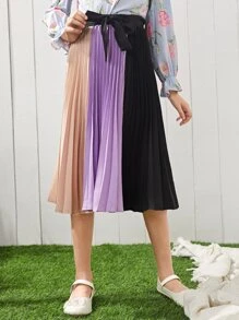 SHEIN Girls 1pc Colour Block Pleated Skirt - Multicolor - View 3