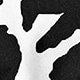 Black and White