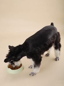 1 pieza Bol para mascotas de color al azar - Multicolor - Ver 4