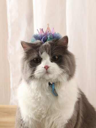 1pc Crown Design Pet Hair Accessory