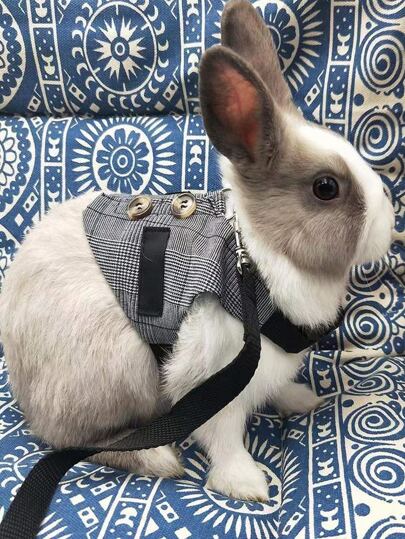 2pcs Plaid Pattern Pet Leash & Harness Set, Rabbit Outer Leash