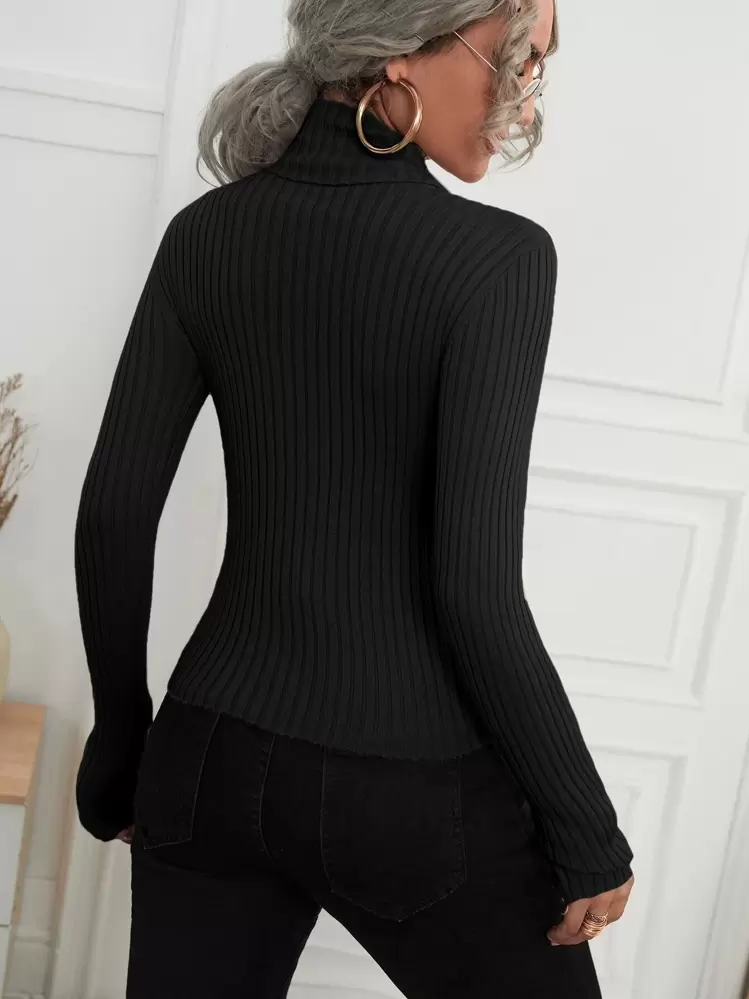 SHEIN Unity Turtle Neck Ribbed Knit Sweater,Long Sleeve Tops Knit